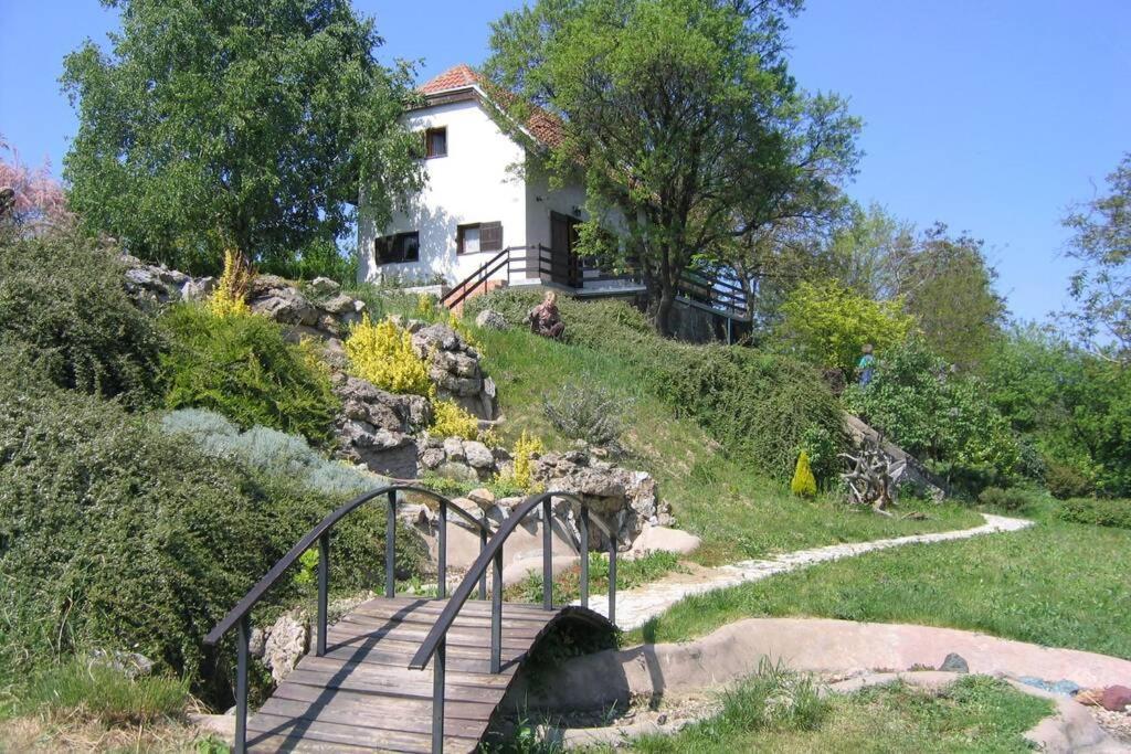 Villa Kornelija Stari Slankamen Exterior foto